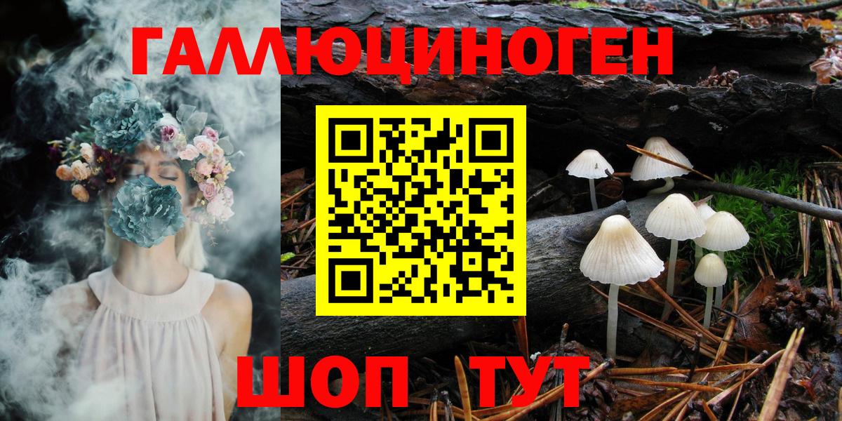 Псилоцибиновые грибы Cubensis Вязьма