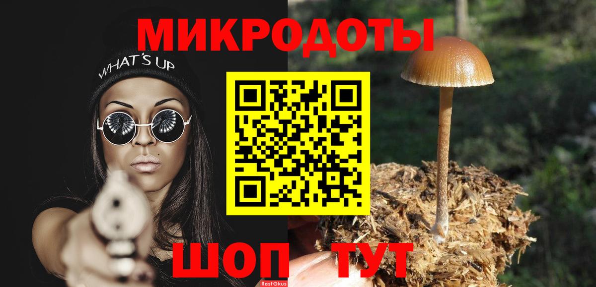 Псилоцибиновые грибы Psilocybe  Вход с VPN  Вязьма  Псилоцибиновые грибы Psilocybine cubensis 